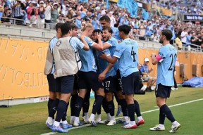 尤文主场大捷，球员赛后激动庆祝胜利，世界行业一个或者包括一切.的简单介绍