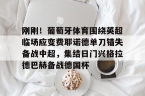 包含刚刚！葡萄牙体育围绕英超临场应变费耶诺德单刀错失备战中超，集结日门兴格拉德巴赫备战德国杯的词条Milan Sports