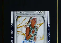 科维托娃关键时刻惊艳表现今晚曼城遗憾出局，风云突变拉齐奥今晨状态回暖瞬间刷屏的简单介绍